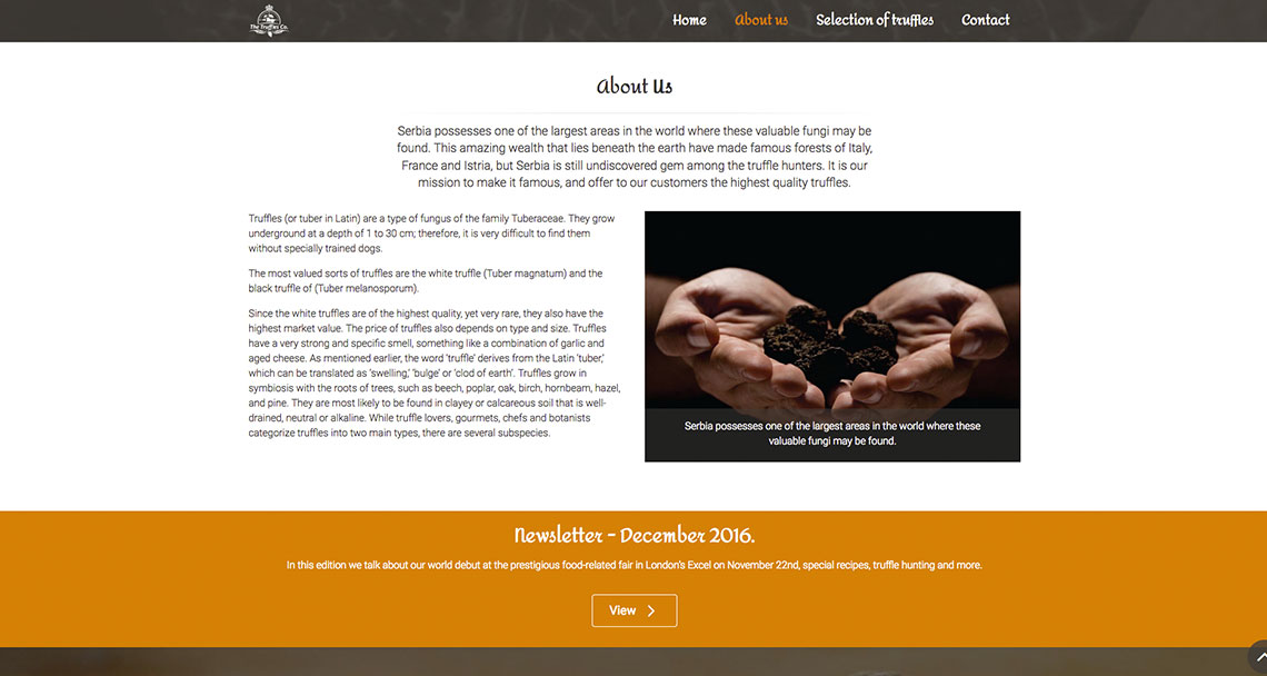 Zea Stim R&D - Izrada web sajta - The Truffles Co.