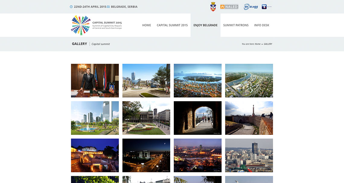 Zea Stim R&D - Izrada web sajta - Capital Summit 2015