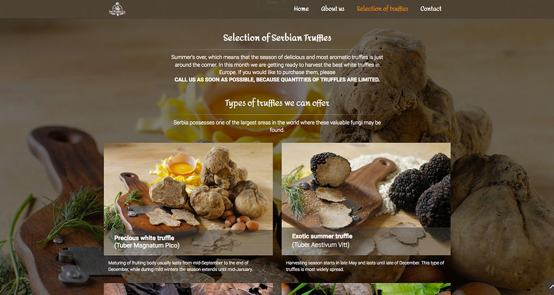 Zea Stim R&D - Izrada web sajta - The Truffles Co.