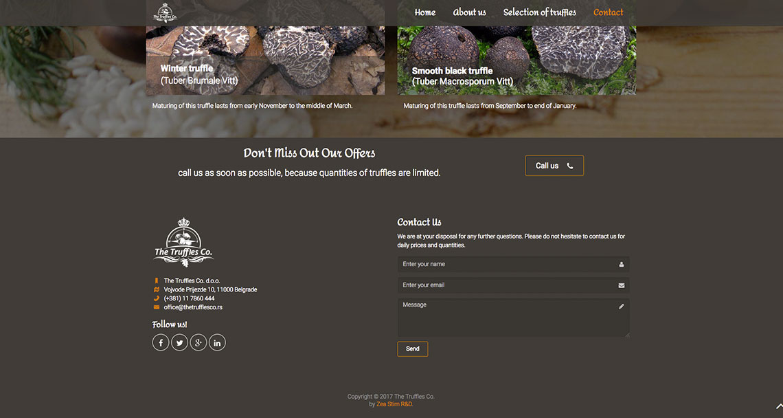 Zea Stim R&D - Izrada web sajta - The Truffles Co.